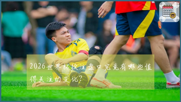 2026世界杯投注盘口究竟有哪些值得关注的变化？