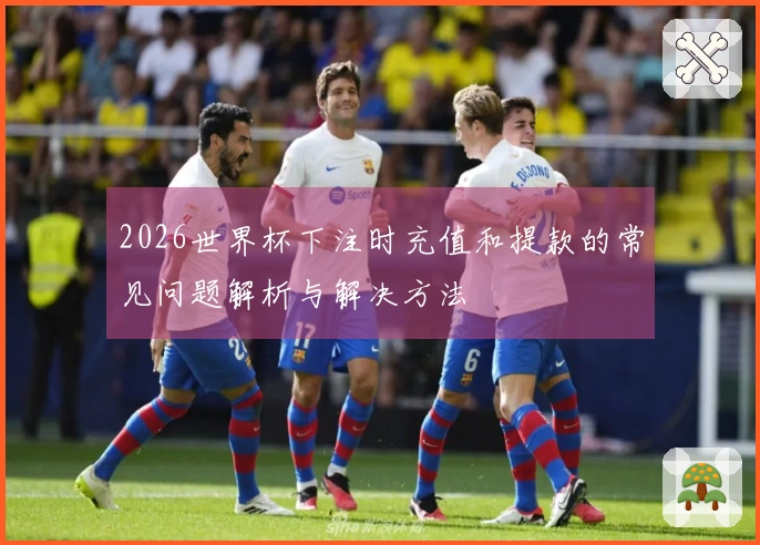 2026世界杯下注时充值和提款的常见问题解析与解决方法