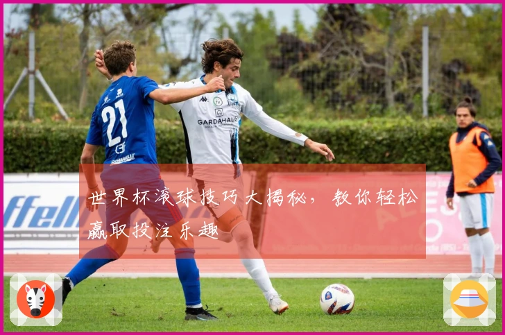 世界杯滚球技巧大揭秘，教你轻松赢取投注乐趣