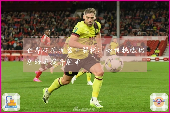 世界杯投注盘口解析:如何挑选优质赔率提升胜率