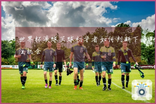 世界杯滚球买球初学者如何判断下注机会